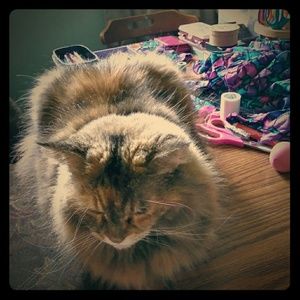 Braswell wants to Posh!!